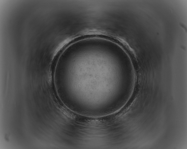 X0000093111167200709261245