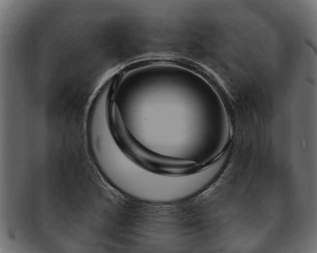 X0000093111168200709261244