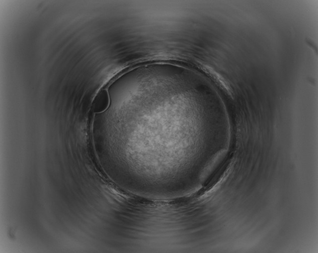 X0000093111170200709261244
