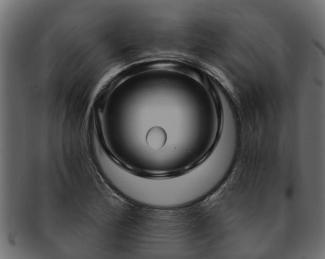 X0000093111172200709261244