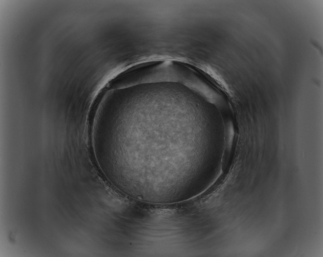 X0000093111173200709261244