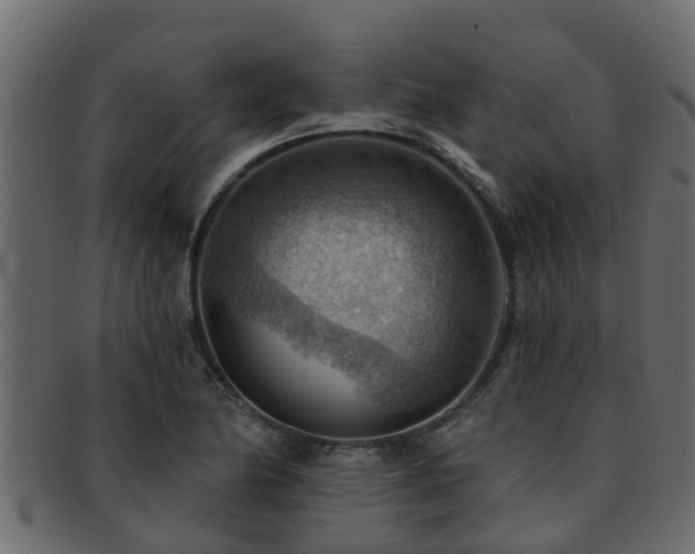 X0000093111174200709261244