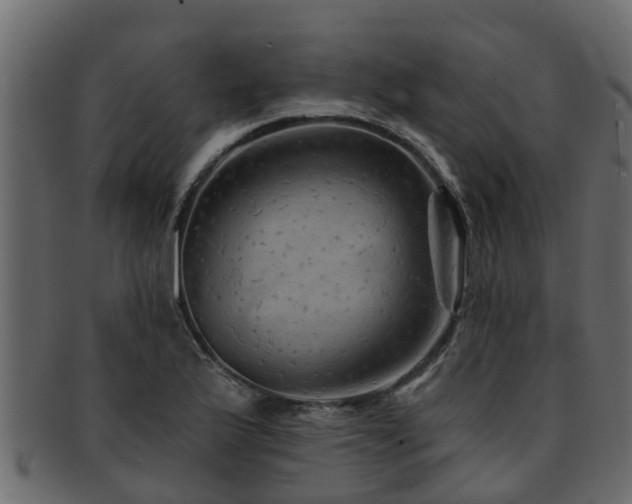 X0000093111175200709261244