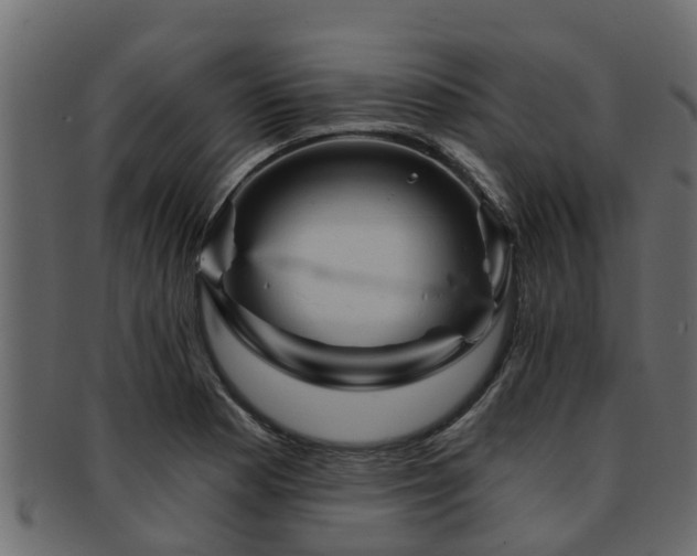 X0000093111177200709261244