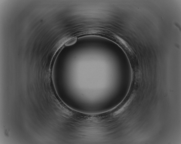 X0000093111178200709261244
