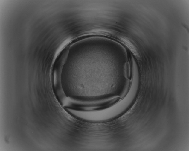 X0000093111180200709261244