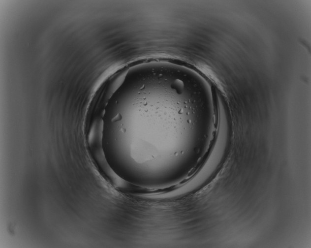 X0000093111181200709261244