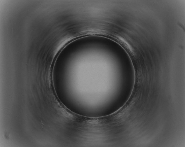X0000093111182200709261244