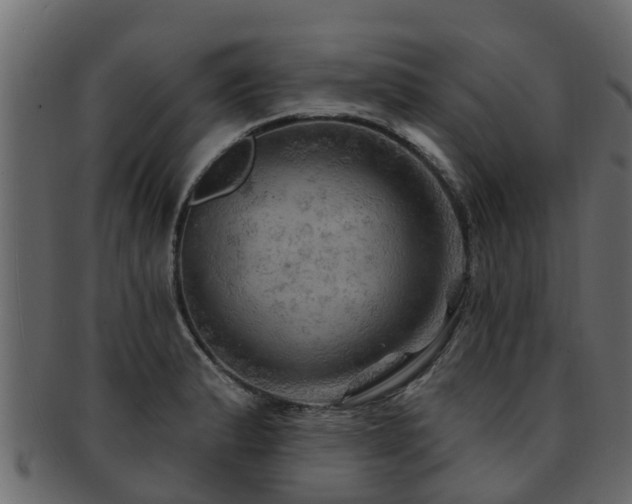 X0000093111183200709261244