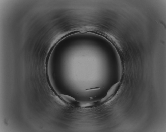 X0000093111184200709261244