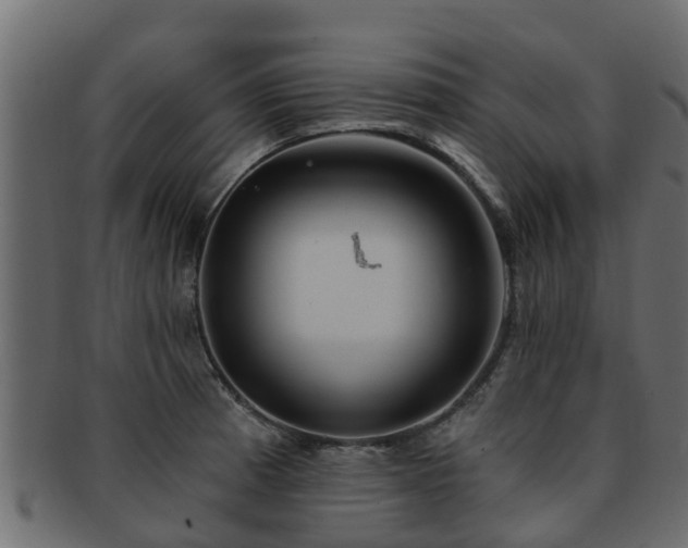 X0000093111185200709261244