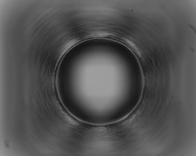 X0000093111186200709261244