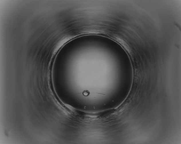 X0000093111187200709261244