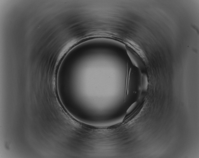 X0000093111188200709261244