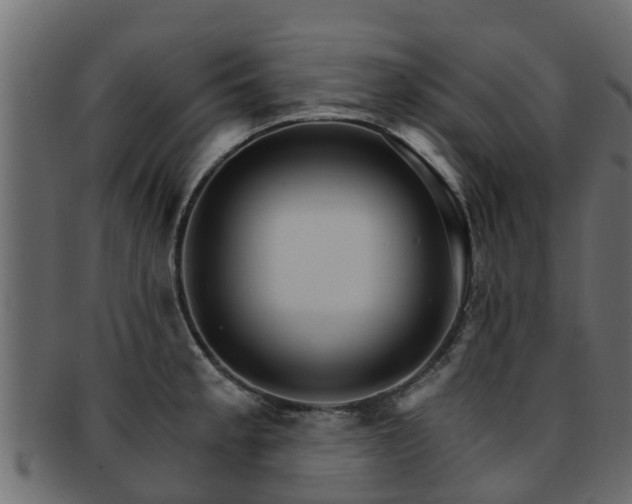 X0000093111189200709261244