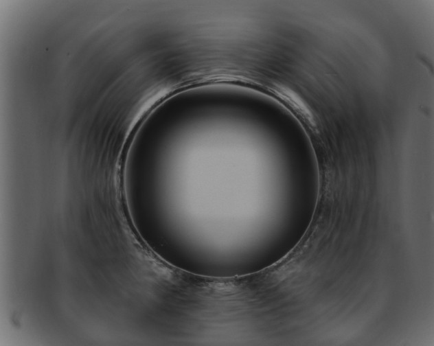 X0000093111190200709261244