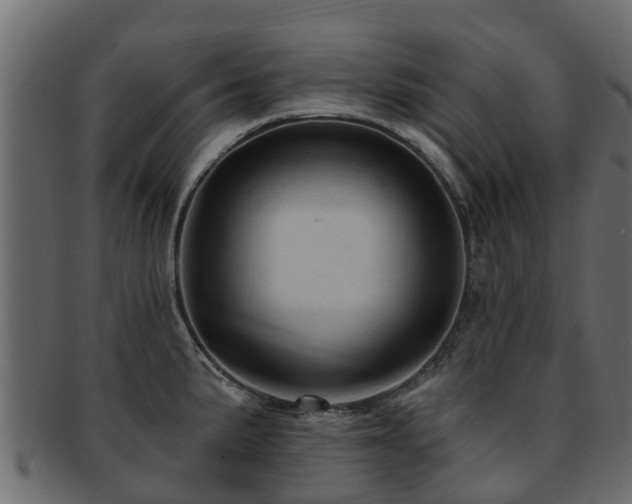 X0000093111191200709261244