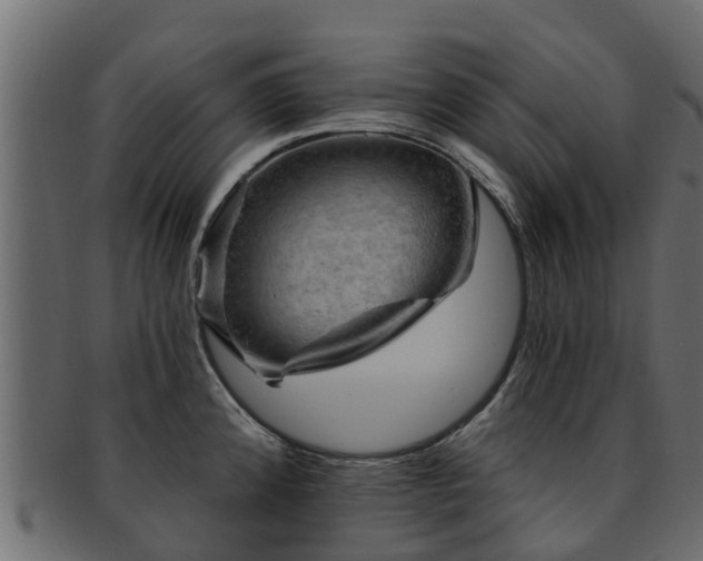 X0000093111192200709261244