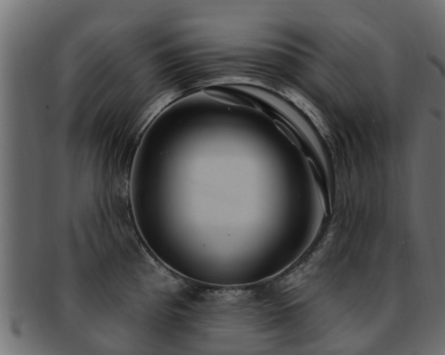 X0000093111193200709261244