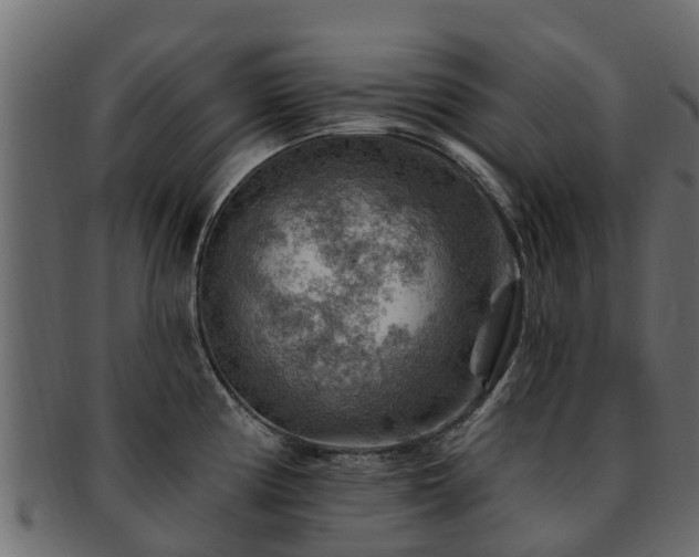 X0000093111194200709261244
