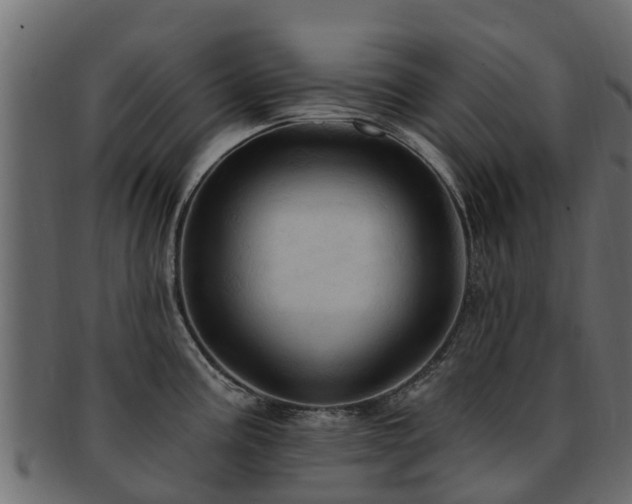 X0000093111195200709261244