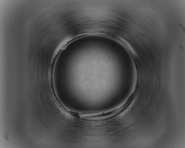 X0000093111196200709261244