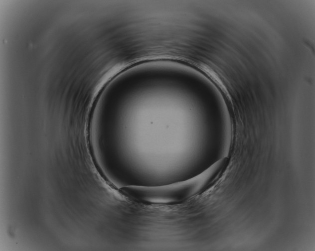 X0000093111197200709261244