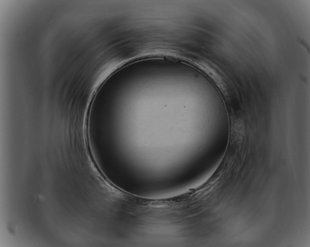 X0000093111199200709261244