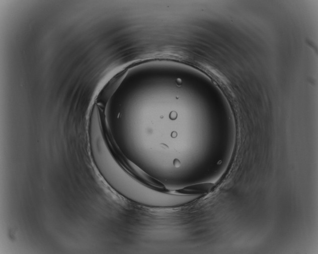 X0000093111200200709261244
