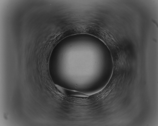 X0000093111201200709261244