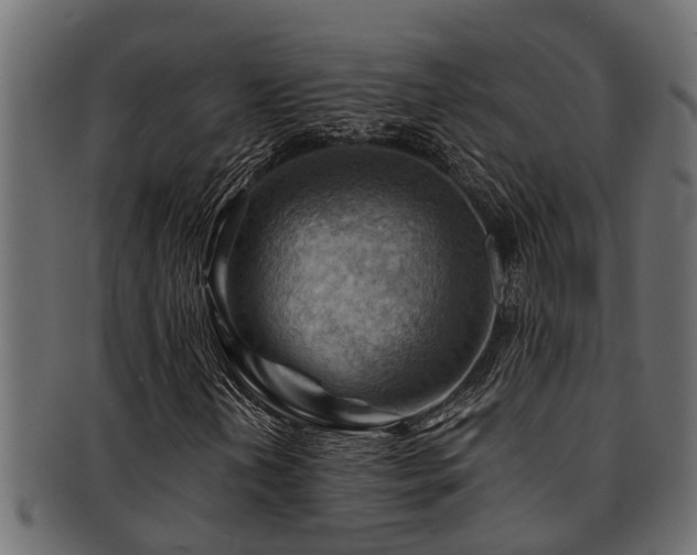 X0000093111202200709261244