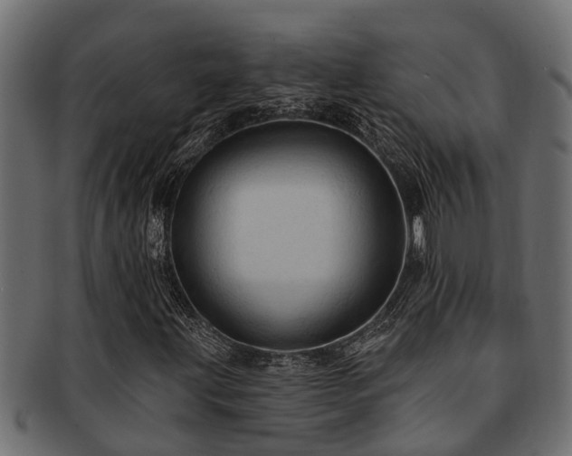 X0000093111203200709261244