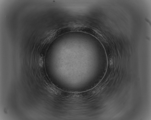 X0000093111204200709261244