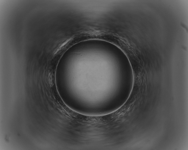 X0000093111205200709261244