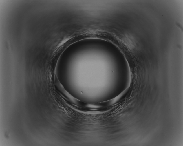 X0000093111206200709261244