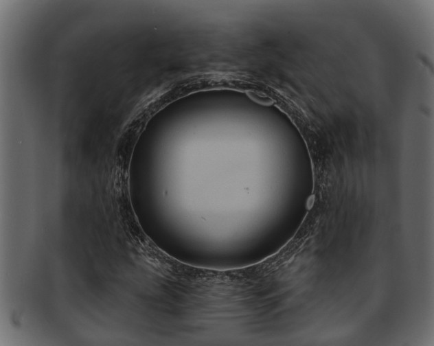X0000093111207200709261244