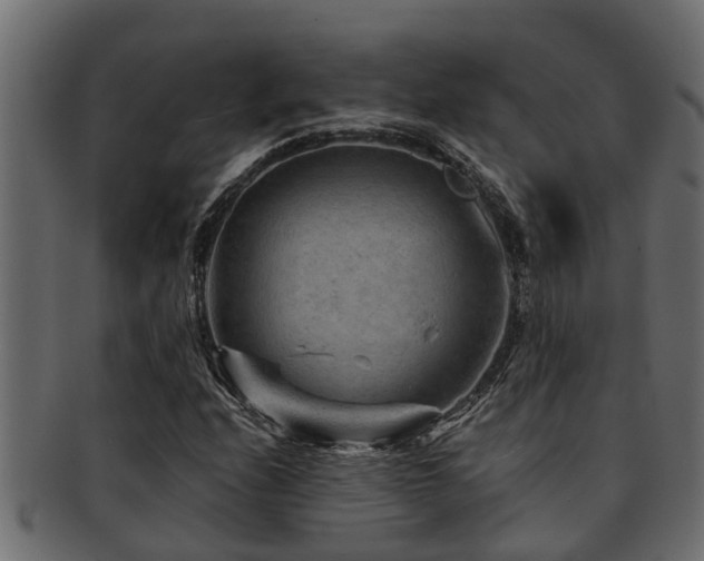 X0000093111208200709261244