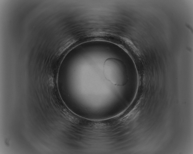 X0000093111209200709261244