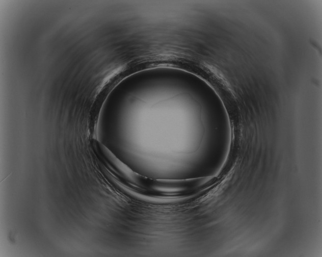 X0000093111210200709261244