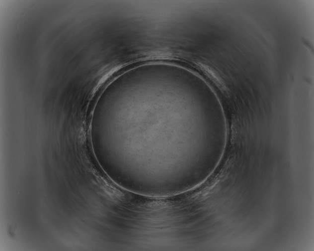 X0000093111212200709261244