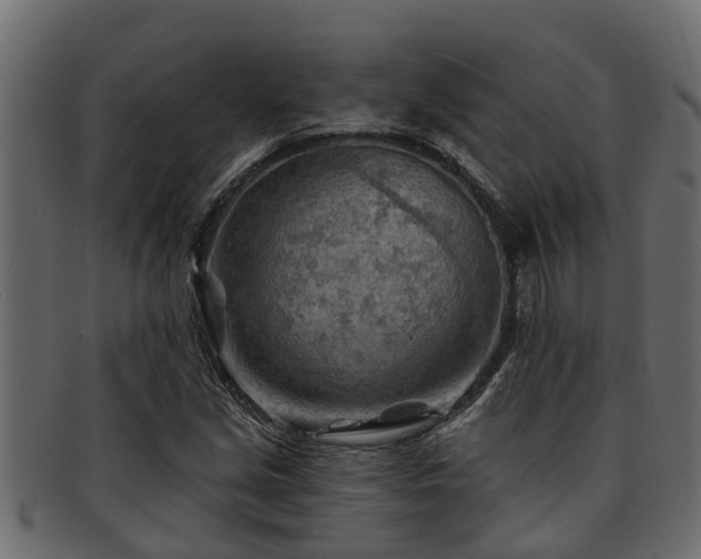 X0000093111213200709261244