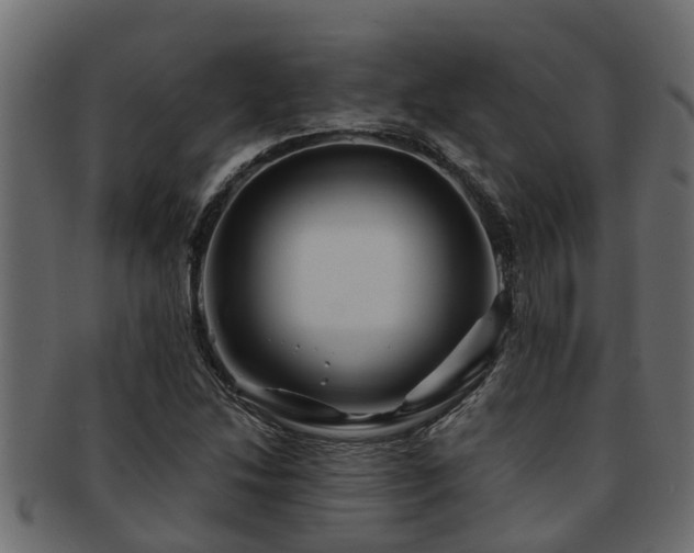 X0000093111214200709261244
