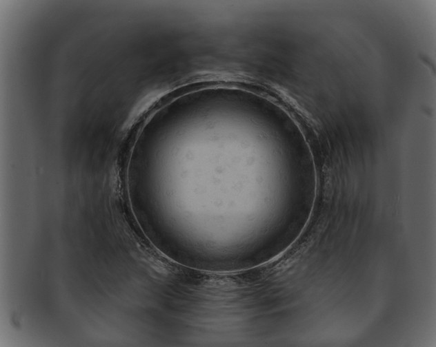 X0000093111215200709261244