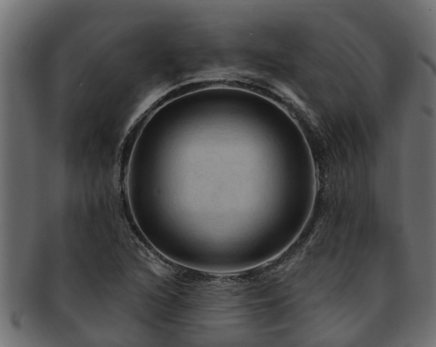 X0000093111216200709261244