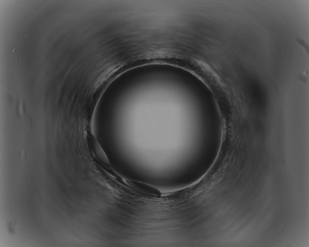X0000093111217200709261244