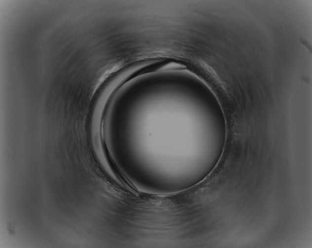 X0000093111218200709261244
