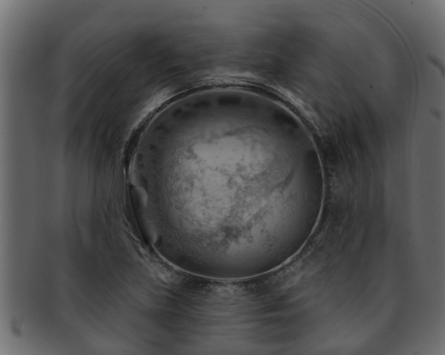X0000093111219200709261244