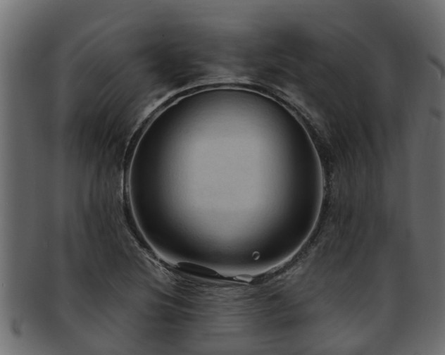 X0000093111220200709261244