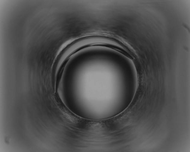X0000093111222200709261244