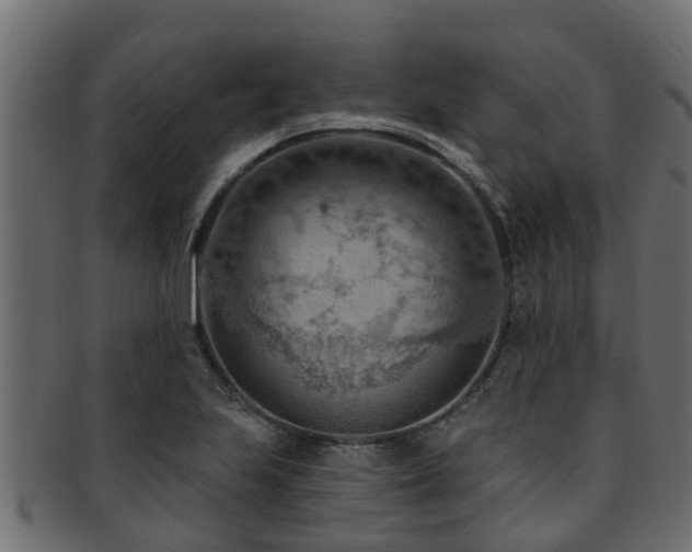 X0000093111223200709261244